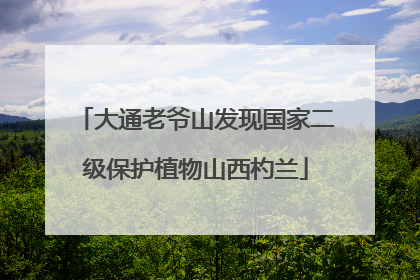 大通老爷山发现国家二级保护植物山西杓兰